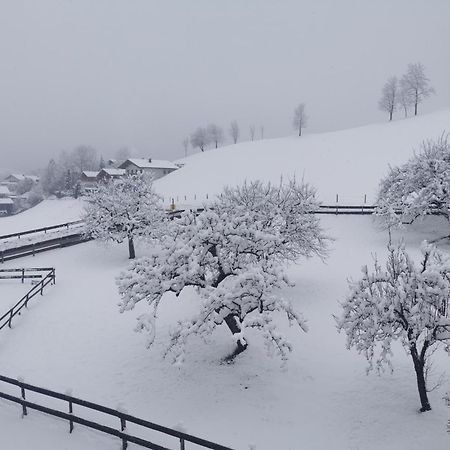 Landidyll Am Thiersee Exterior foto
