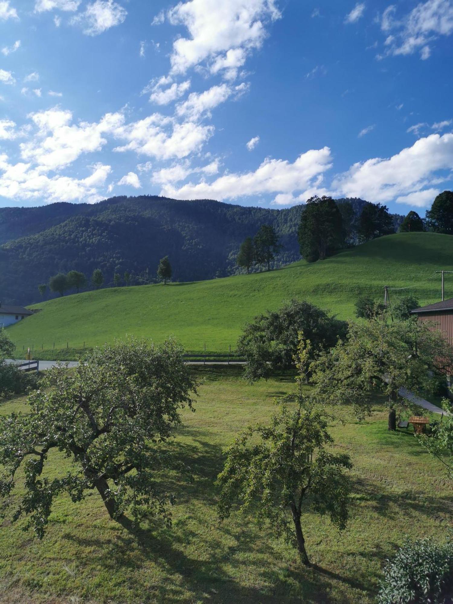 Landidyll Am Thiersee Exterior foto